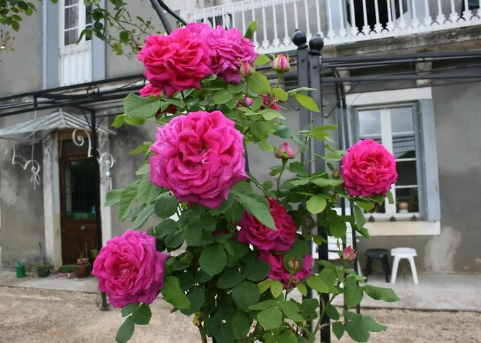 Bed & Breakfast Chateau La Barge - Dordogne 3*